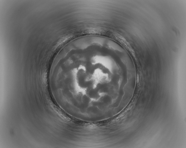 X0000112820249200909041520