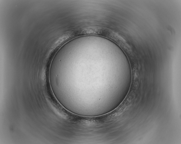 X0000112820250200909041520