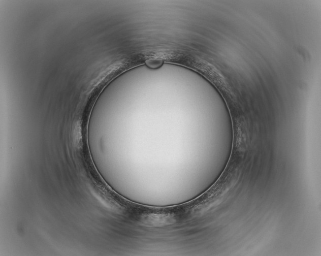 X0000112820251200909041520