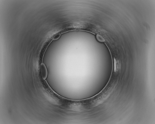 X0000112820252200909041520