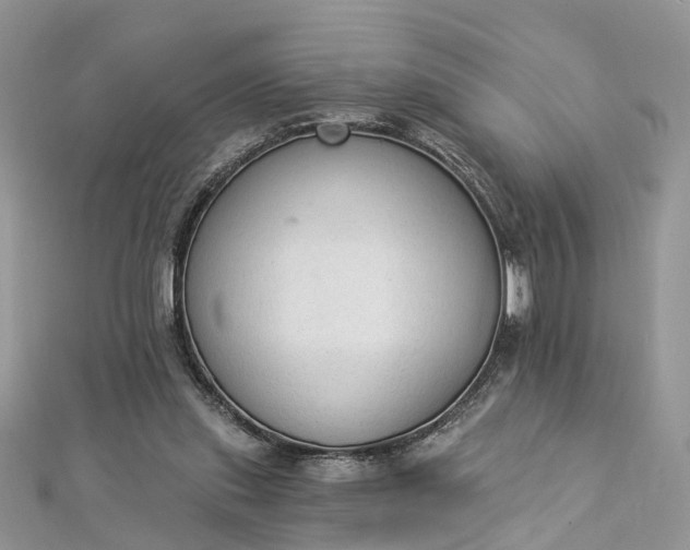 X0000112820253200909041520