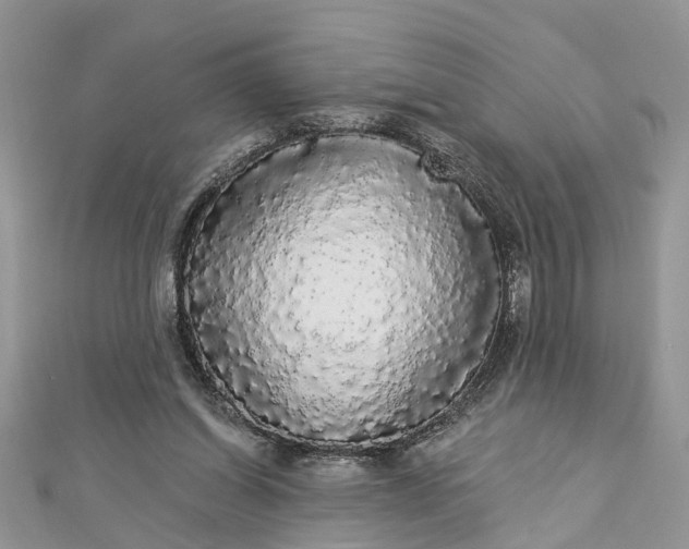 X0000112820254200909041520