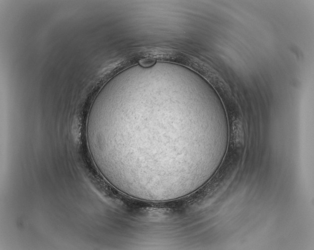 X0000112820255200909041520