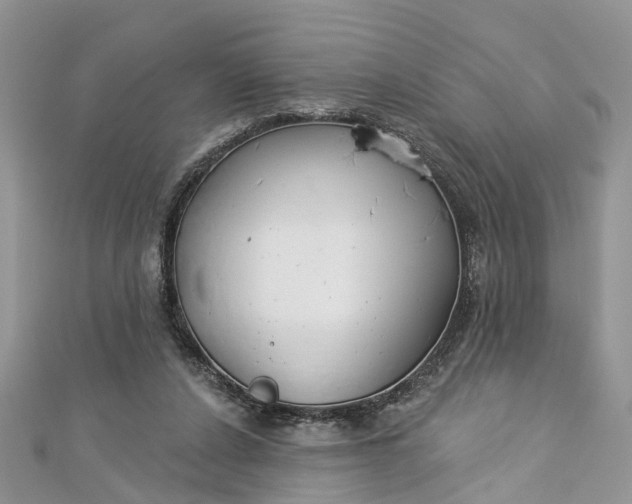 X0000112820256200909041520