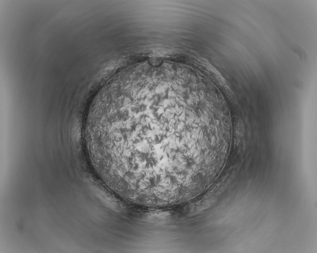 X0000112820257200909041520