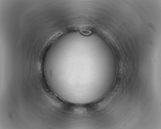 X0000112820258200909041520