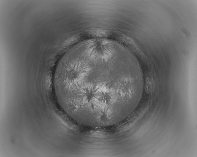 X0000112820259200909041520