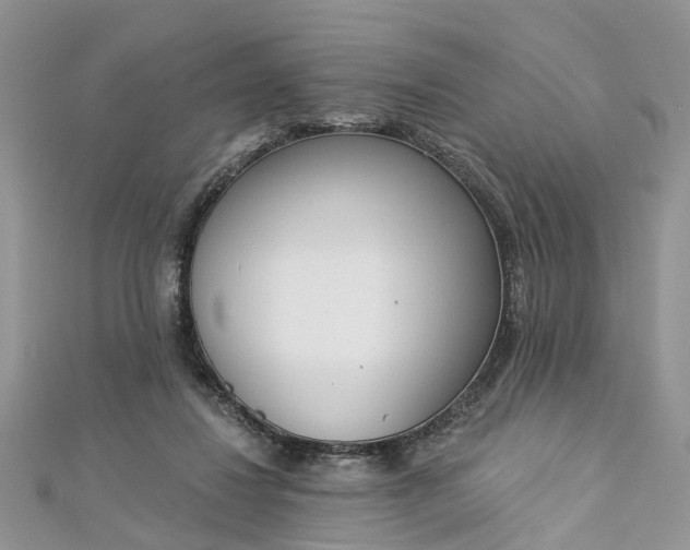 X0000112820260200909041520