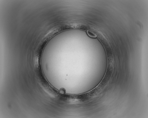 X0000112820262200909041521