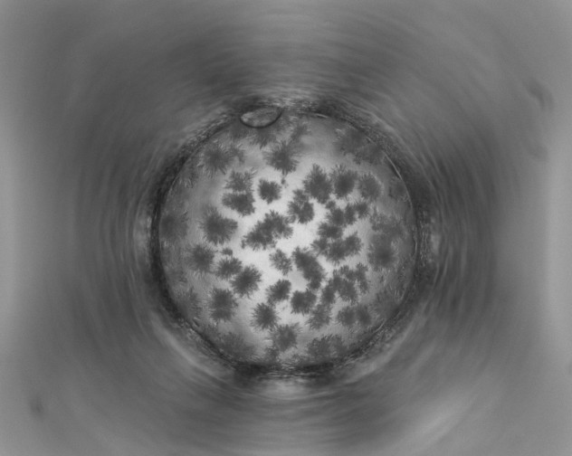 X0000112820263200909041521