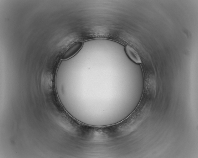 X0000112820264200909041521