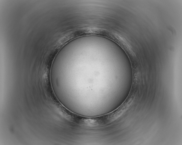 X0000112820265200909041521