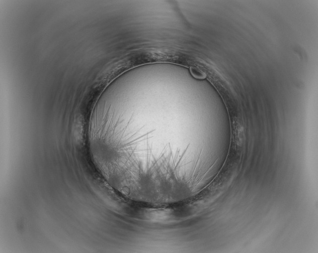 X0000112820266200909041521