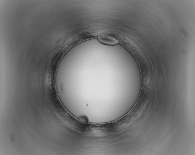 X0000112820268200909041521