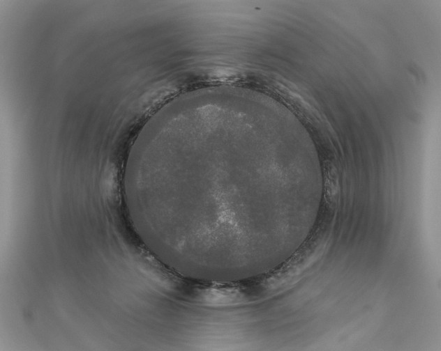 X0000112820270200909041521