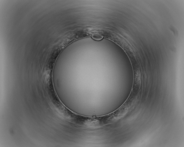 X0000112820271200909041521