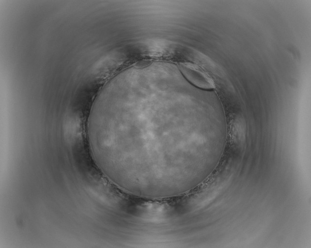 X0000112820272200909041521