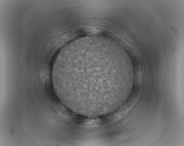 X0000112820274200909041521