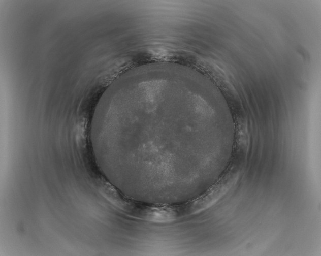 X0000112820275200909041521