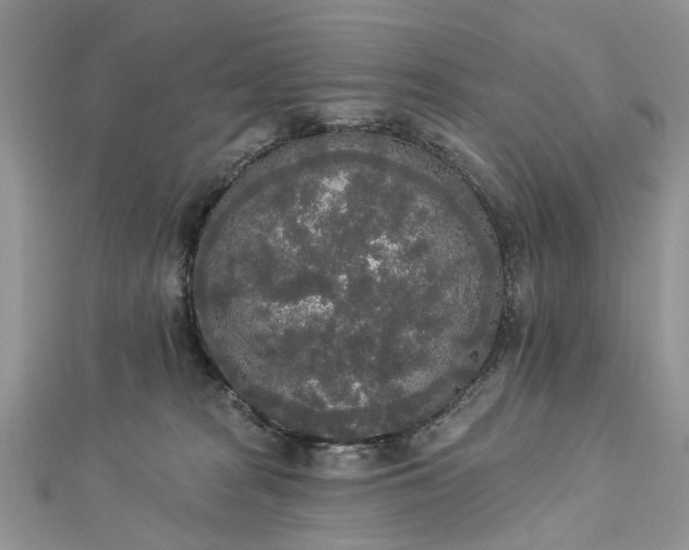 X0000112820277200909041521