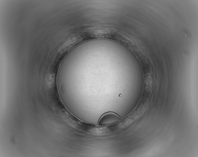 X0000112820278200909041521