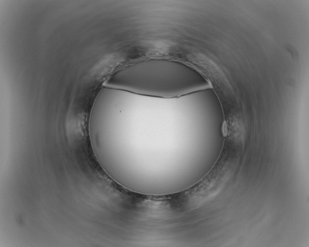 X0000112820280200909041521