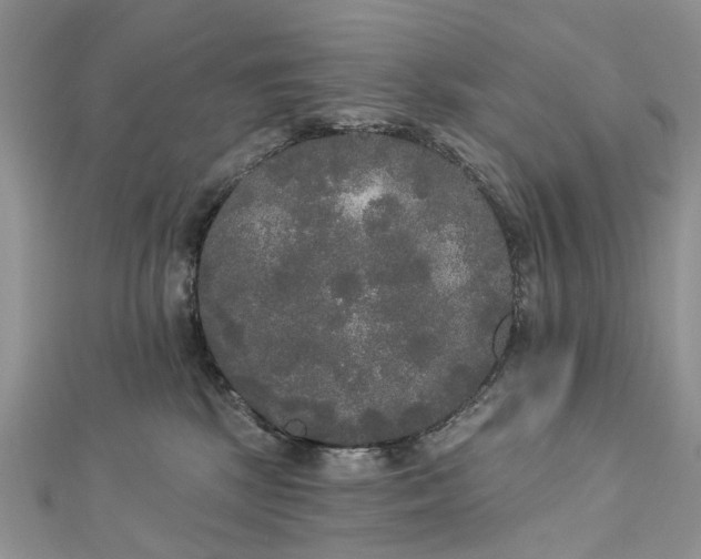 X0000112820281200909041521