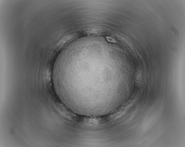 X0000112820282200909041521