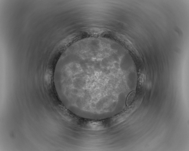 X0000112820283200909041521