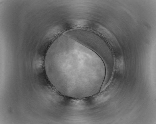 X0000112820284200909041521