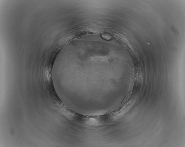 X0000112820285200909041521