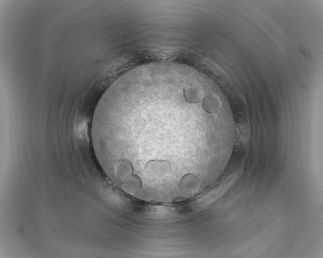 X0000112820286200909041521