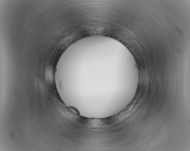 X0000112820287200909041521