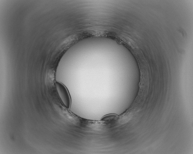 X0000112820288200909041521