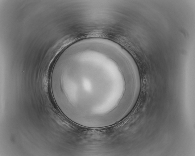 X0000112820290200909041520