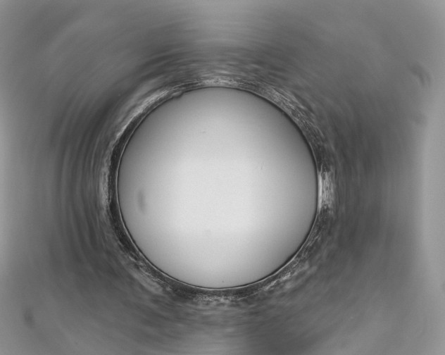 X0000112820291200909041520