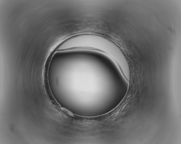 X0000112820292200909041520