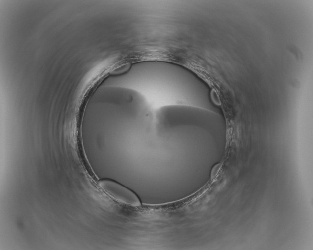 X0000112820293200909041520