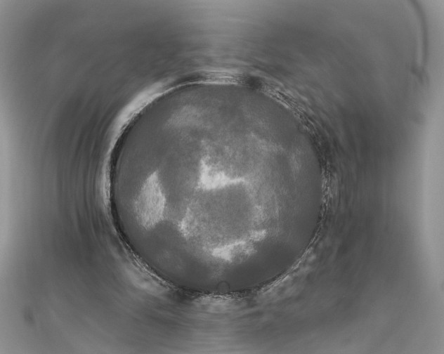 X0000112820294200909041520