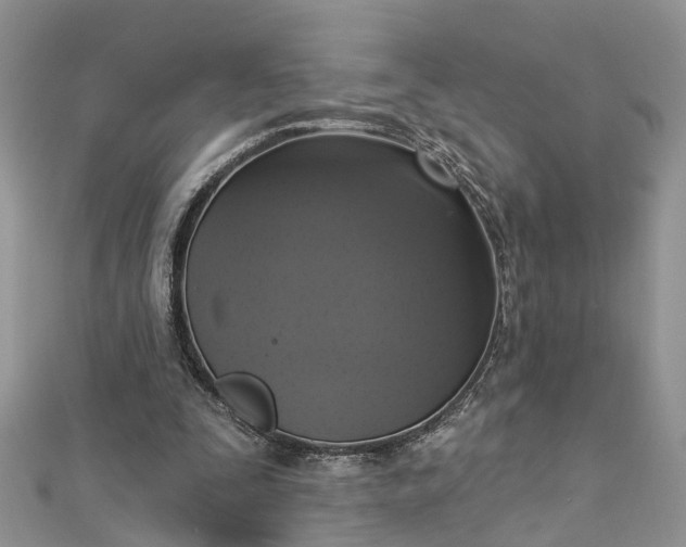 X0000112820295200909041520