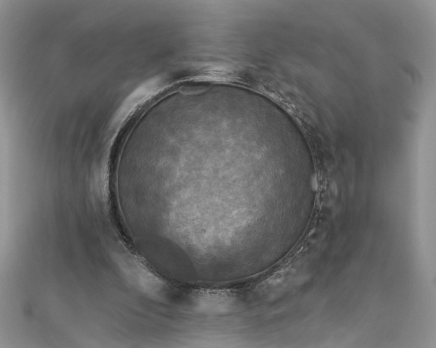 X0000112820296200909041520