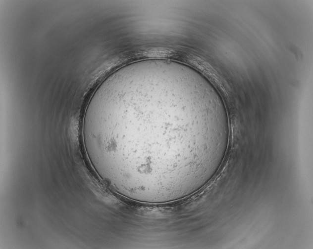 X0000112820297200909041520