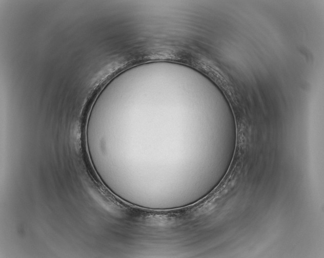 X0000112820298200909041520