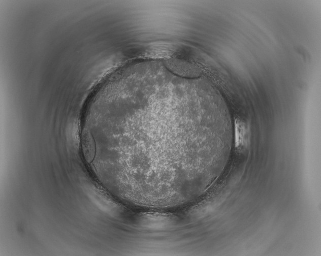 X0000112820300200909041520