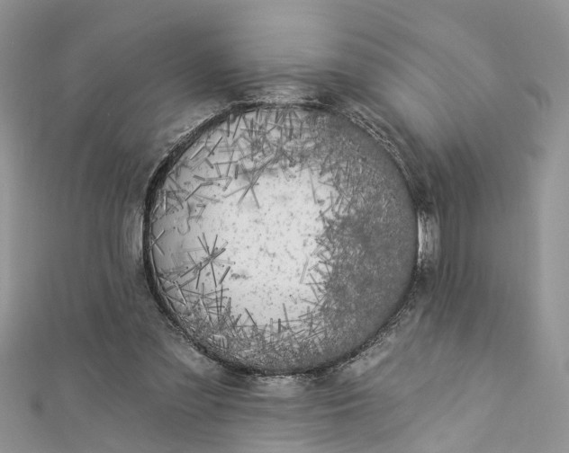 X0000112820301200909041520