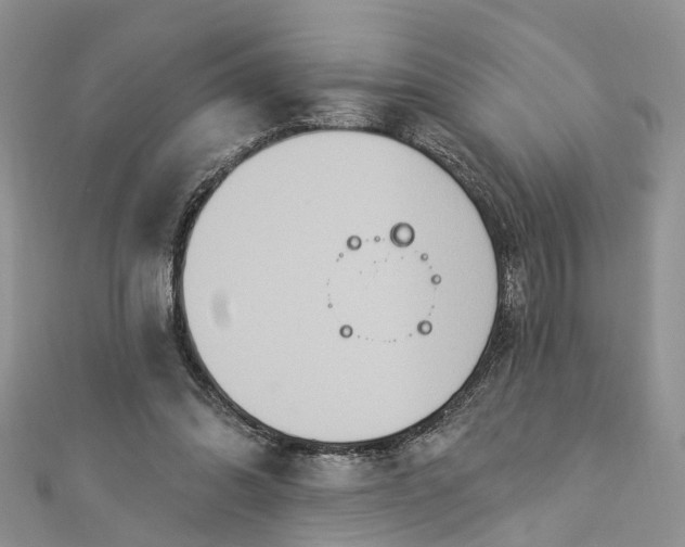 X0000112820302200909041520