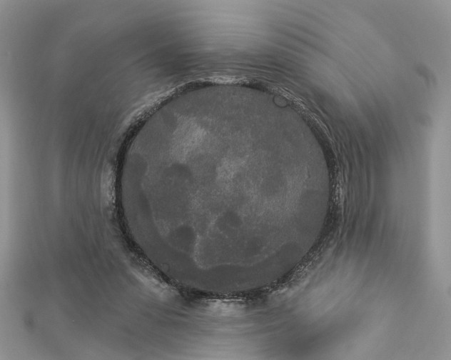 X0000112820303200909041520