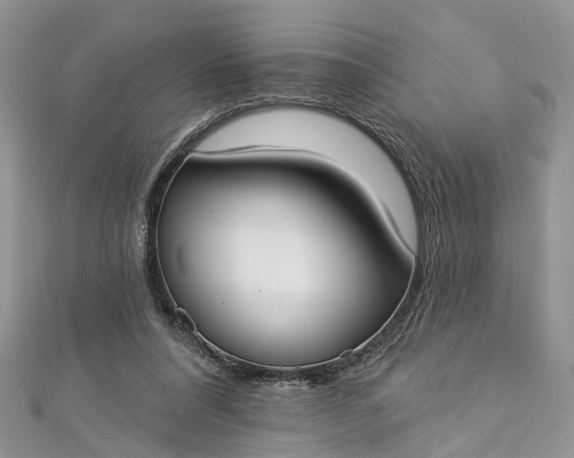 X0000112820304200909041520