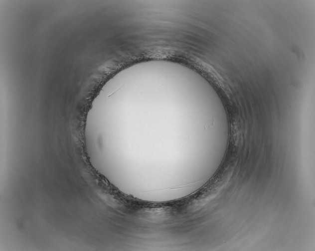 X0000112820307200909041520