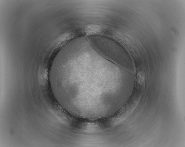 X0000112820308200909041520